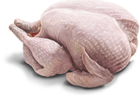 pollo.png